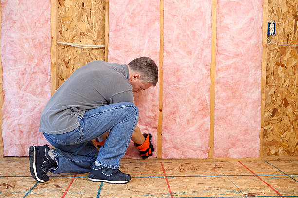 Best Spray Foam Insulation in Leisure Village West, NJ